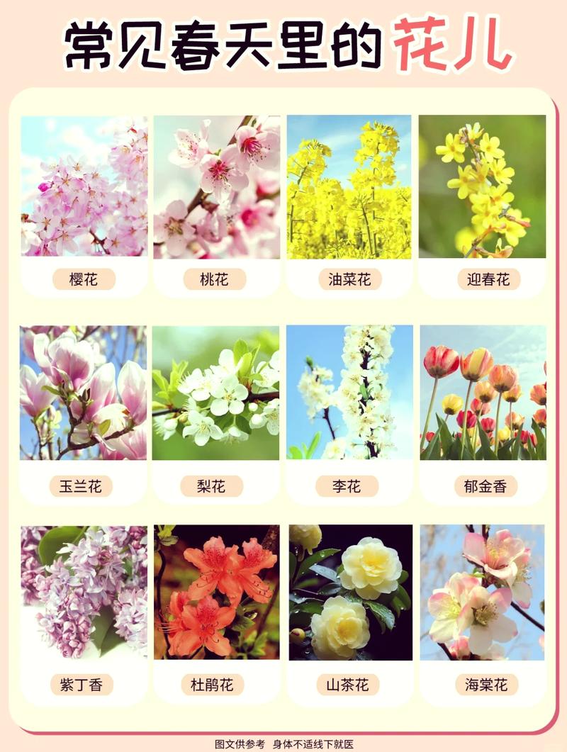 所以,花谱到底是什么?