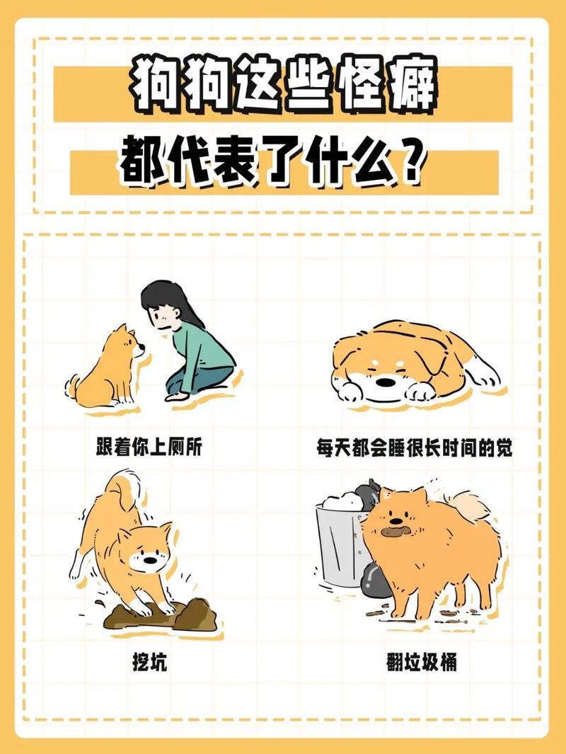 这些怪癖其实都是它爱你的小证据