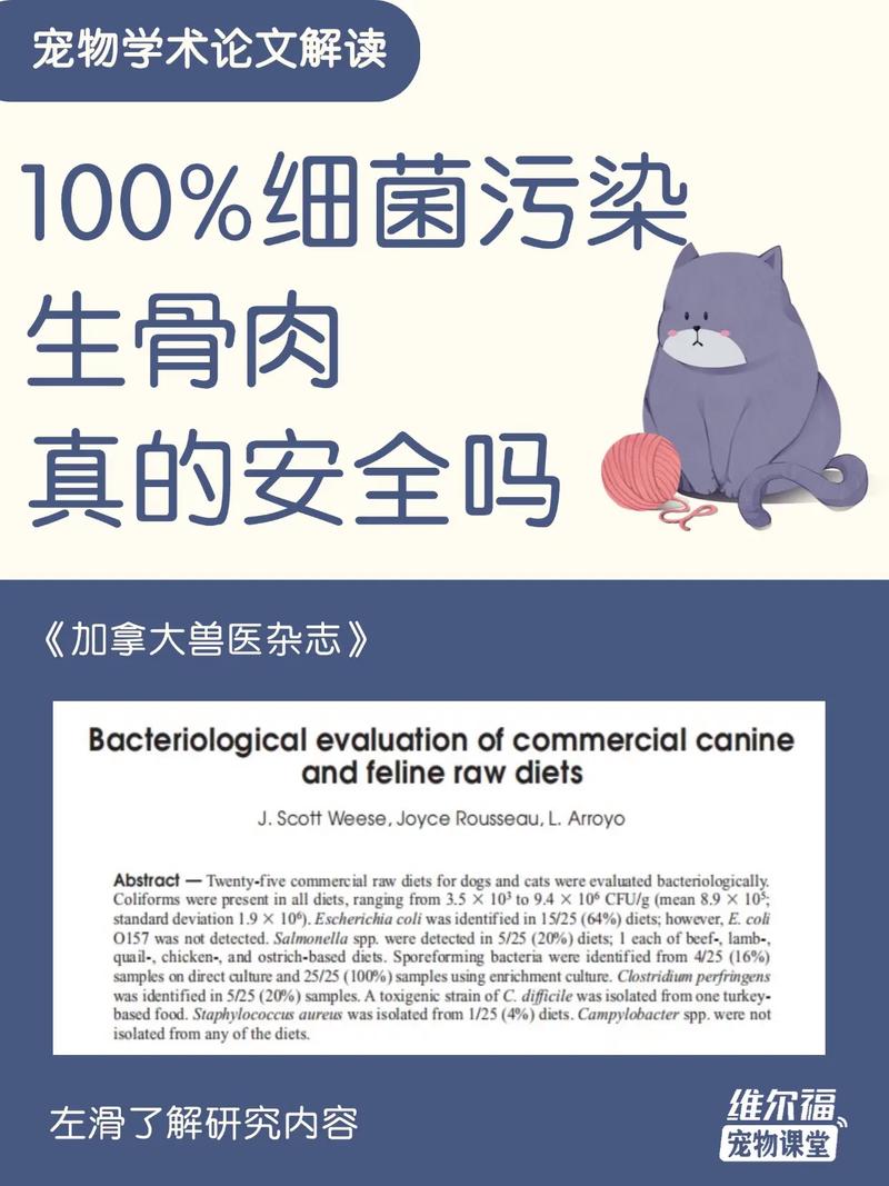 宠物生骨肉细菌污染风险示意图