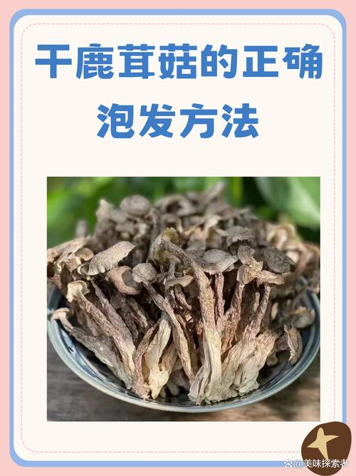 家用干菌菇泡发正确步骤图