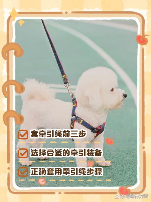 正确佩戴的1米宠物牵引绳示例图