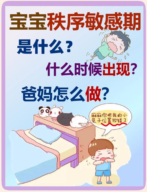 幼儿期秩序敏感期行为表现图解