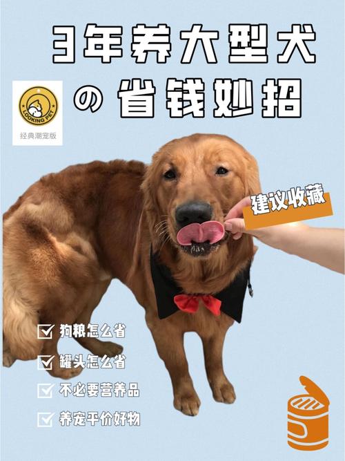 不用花大价钱,就能让宠物多喝两口