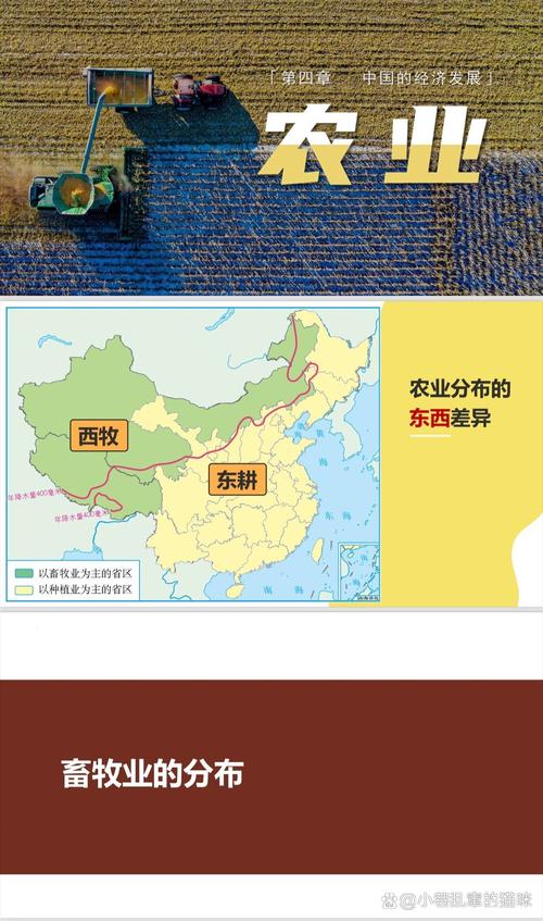 耕地农业用途与非农用途边界示意图