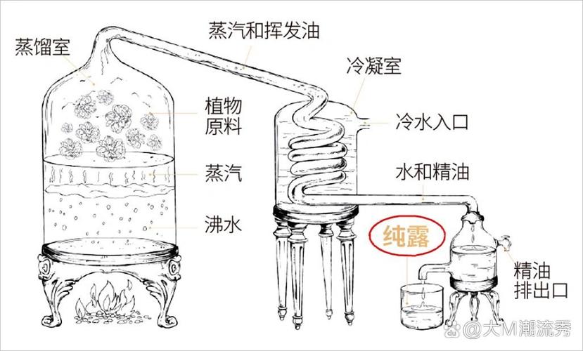 大马士革玫瑰古法蒸馏纯露 铜锅蒸馏过程