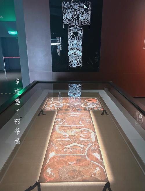 长沙湖南省博马王堆T形帛画展柜