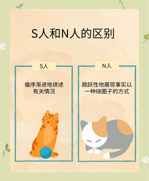 五个S里，最核心也最容易被忽略的是最后那个