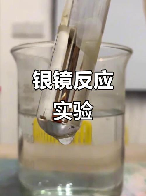 镜子的秘密：你看到的，永远不是全部真相-因为所以