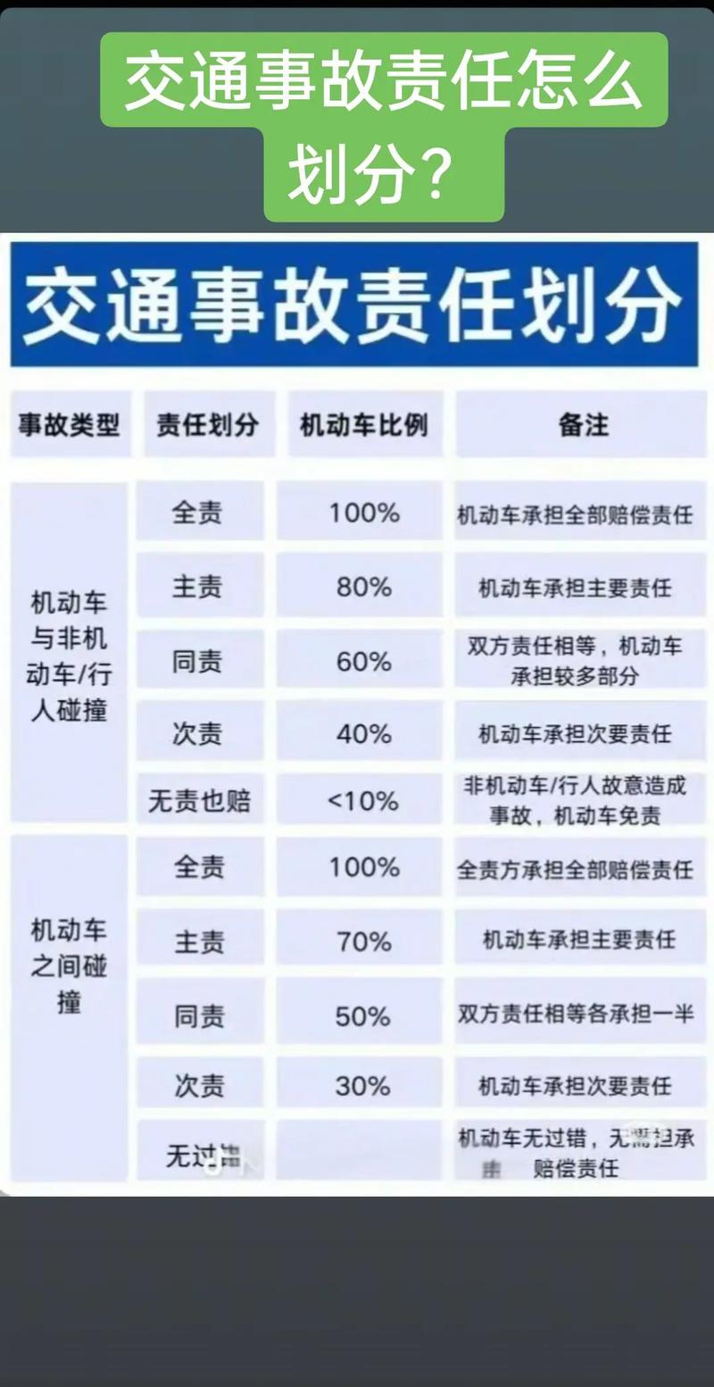 机动车与行人交通事故责任划分比例示意图