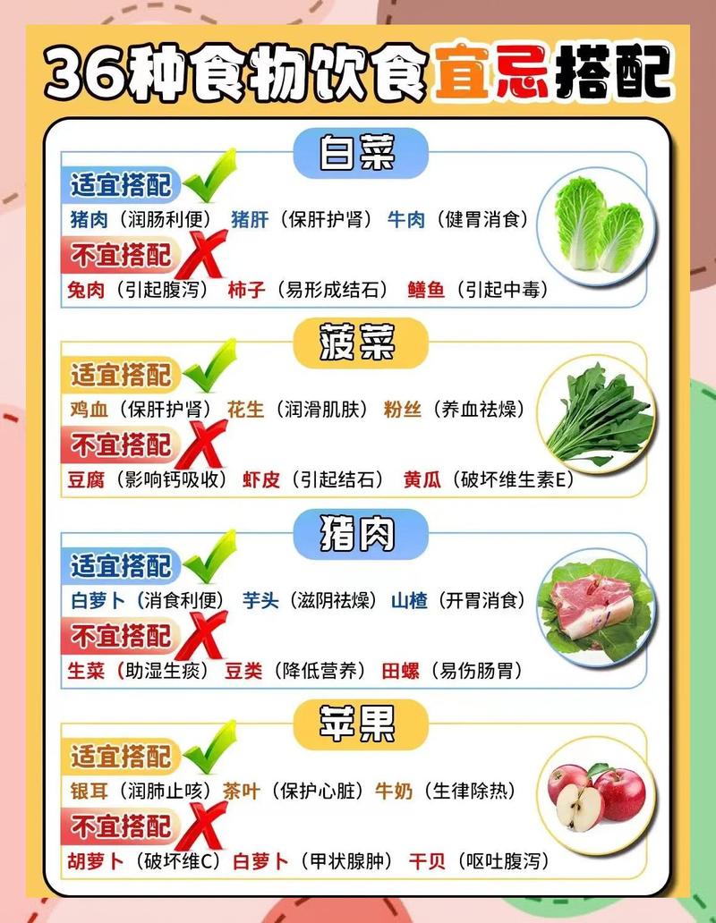 常见错误日常食材搭配示例图