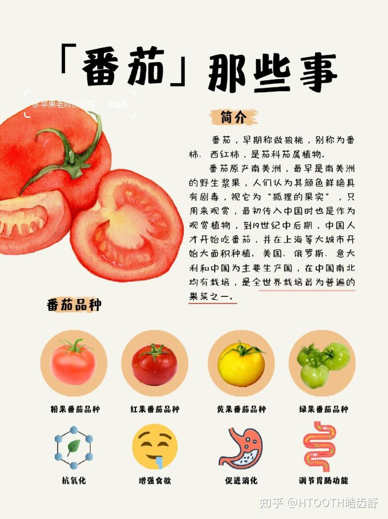 二、颜色越深,越骗不了人?聊聊番茄营养