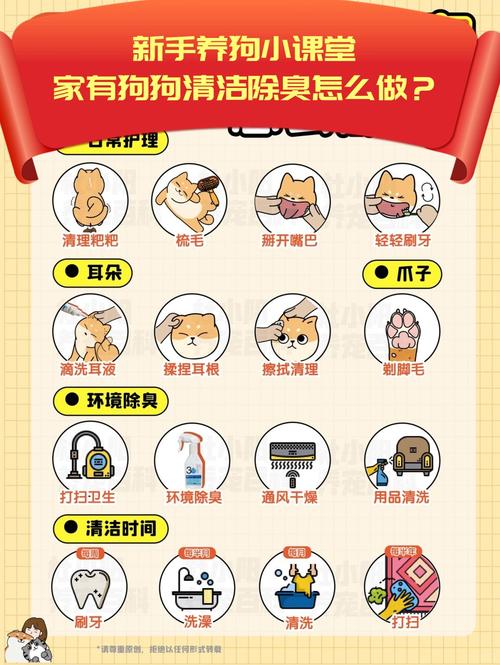 宠物除臭错误操作对比示意图