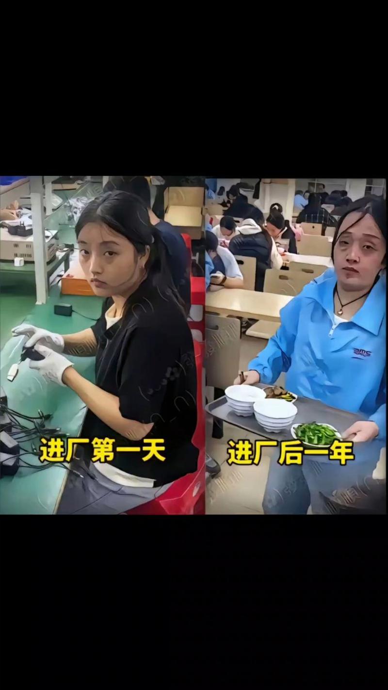 去厂里转一圈,啥都明白了