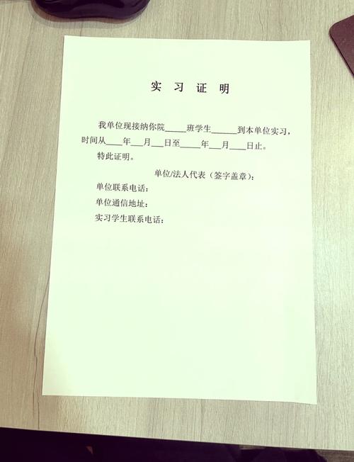 实习面试中候选人自信展示作品集