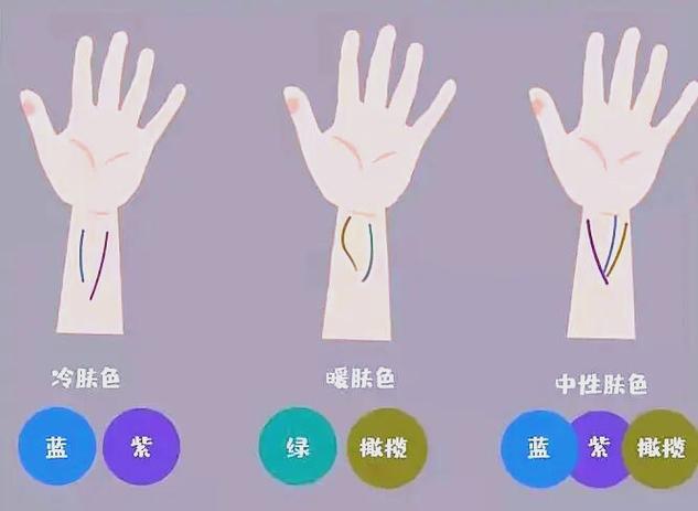 手腕血管颜色判断肤色冷暖对比示意图