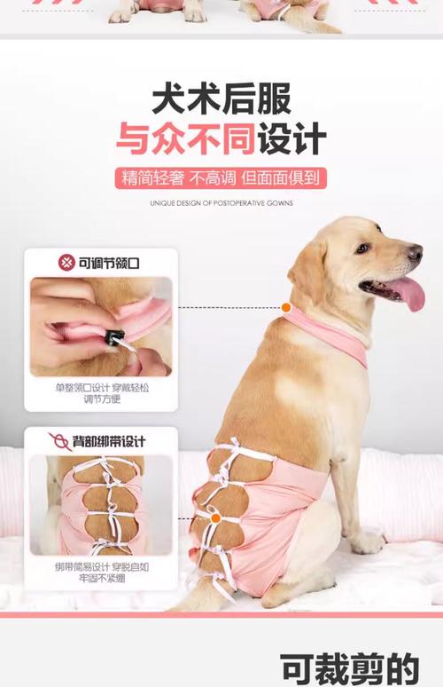 狗狗绝育术后手术服穿戴示范图
