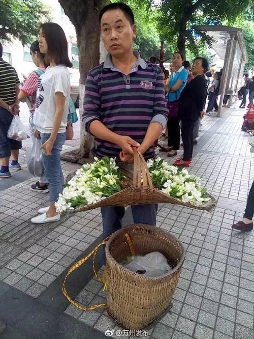 城市路口红灯下卖栀子花的竹篮