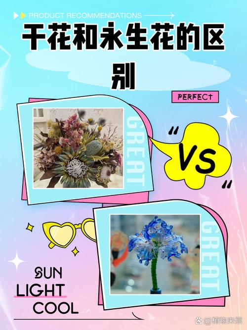 问：有没有“永生花”和“干花”的猫腻？