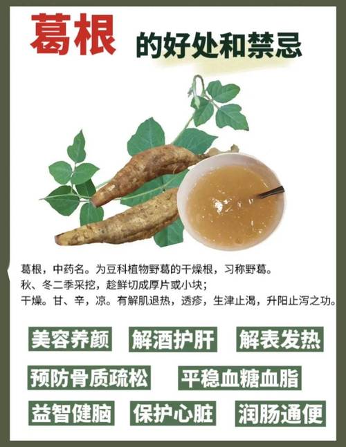 买葛粉实用贴士