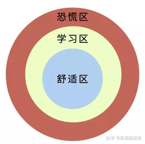 求职决策心理舒适区与成长区图表