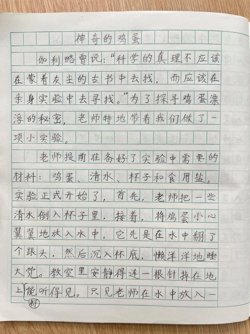 小学语文三年级说明文作业手写草稿