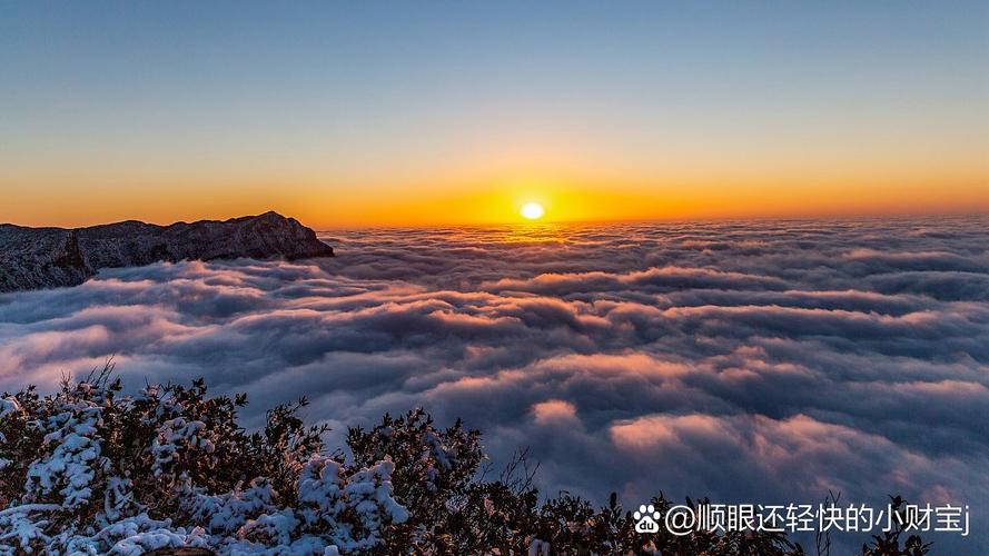 金佛山山顶云海
