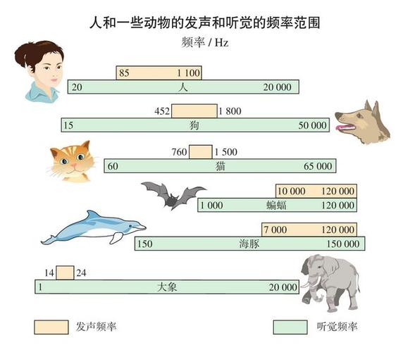 人与猫狗听觉频率范围对比图