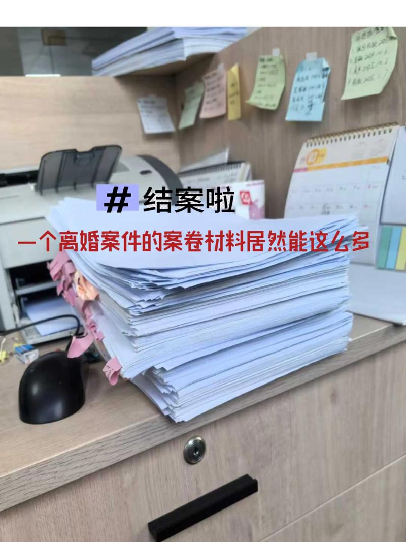 武汉离婚案件案卷整理实拍