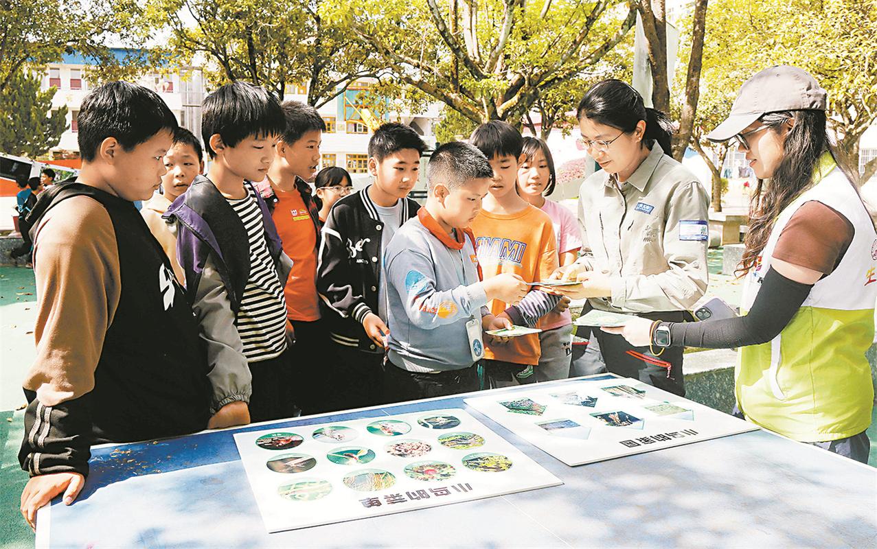 跨学科生态文明教育课堂活动
