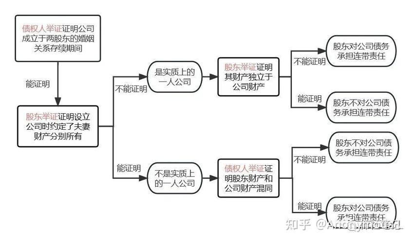 债权债务分割举证责任分配图