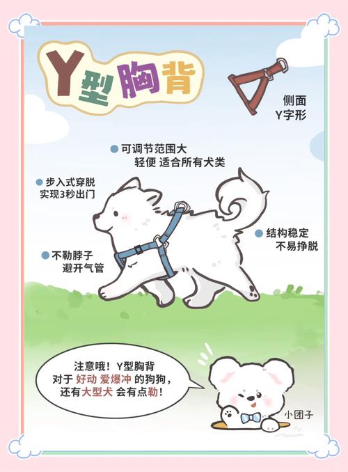 错误胸背带勒狗气管位置实拍图