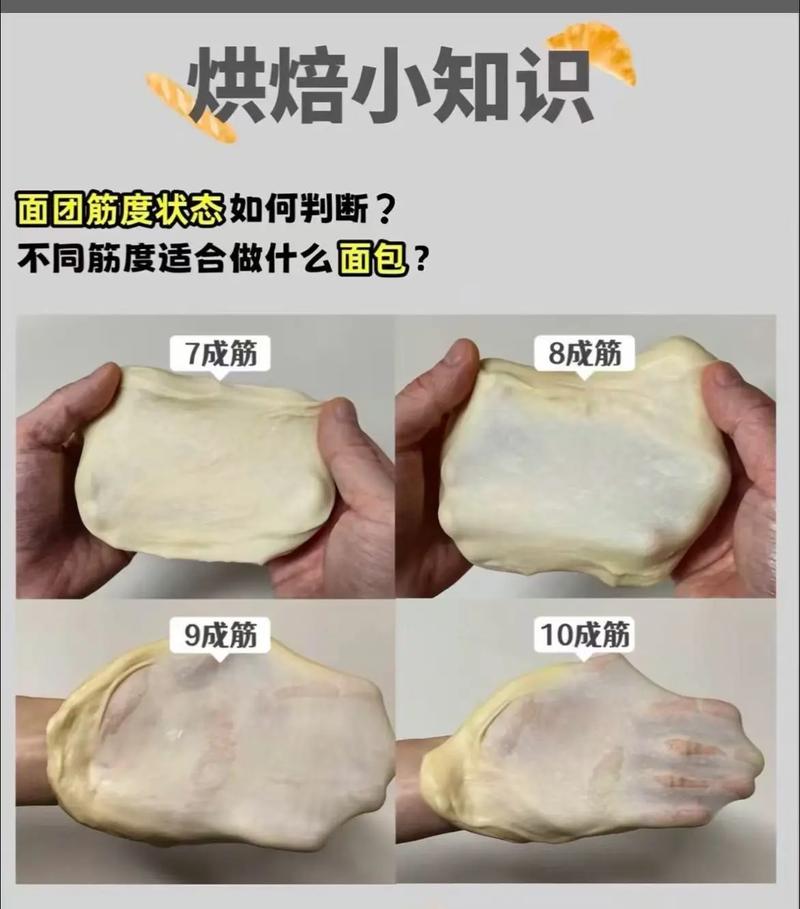 烘焙进阶不同面包所需手套膜对比图
