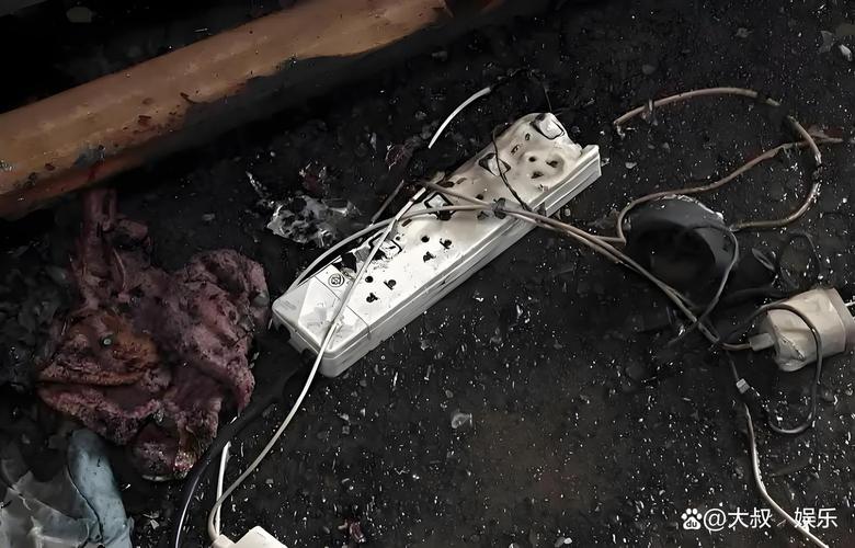 家用充电桩短路烧毁事故现场图