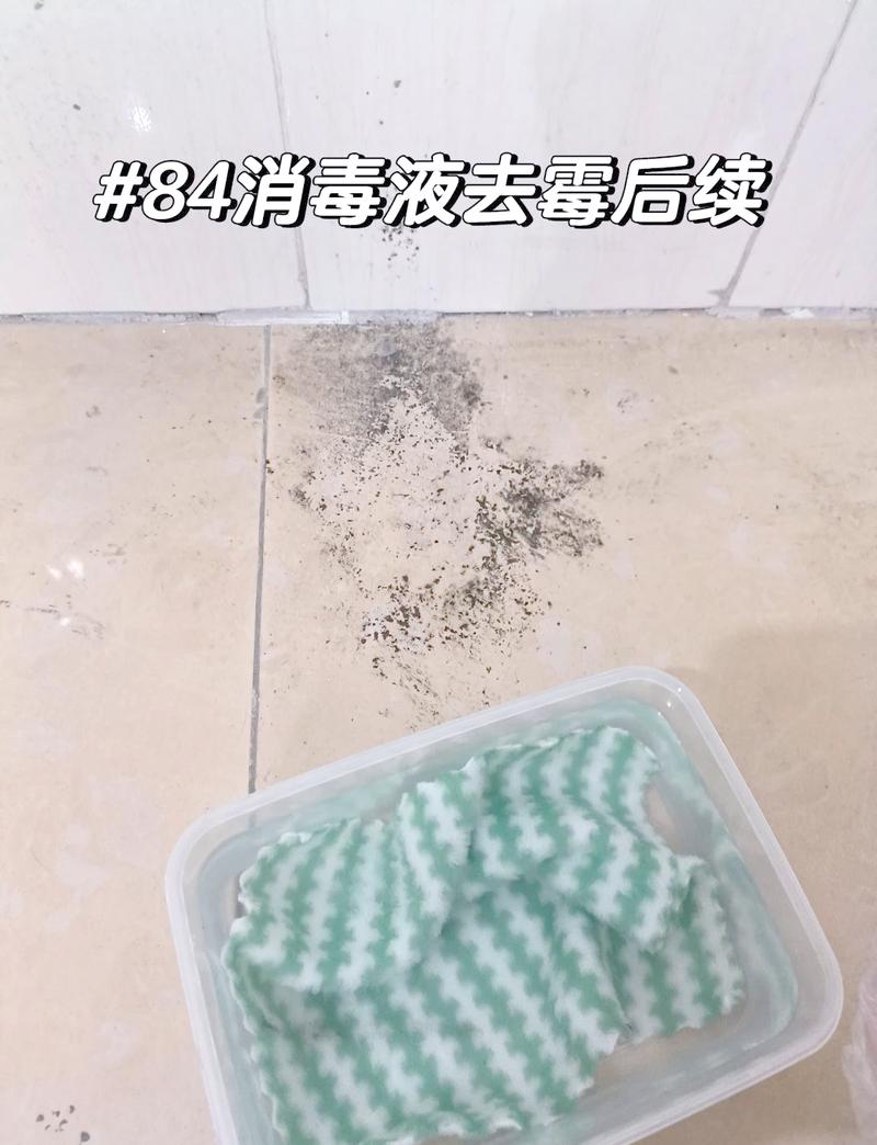 84消毒液浸湿纸巾贴在霉斑处