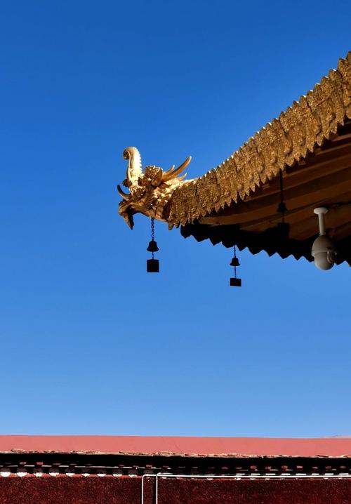 大昭寺金顶下午阳光照射实景