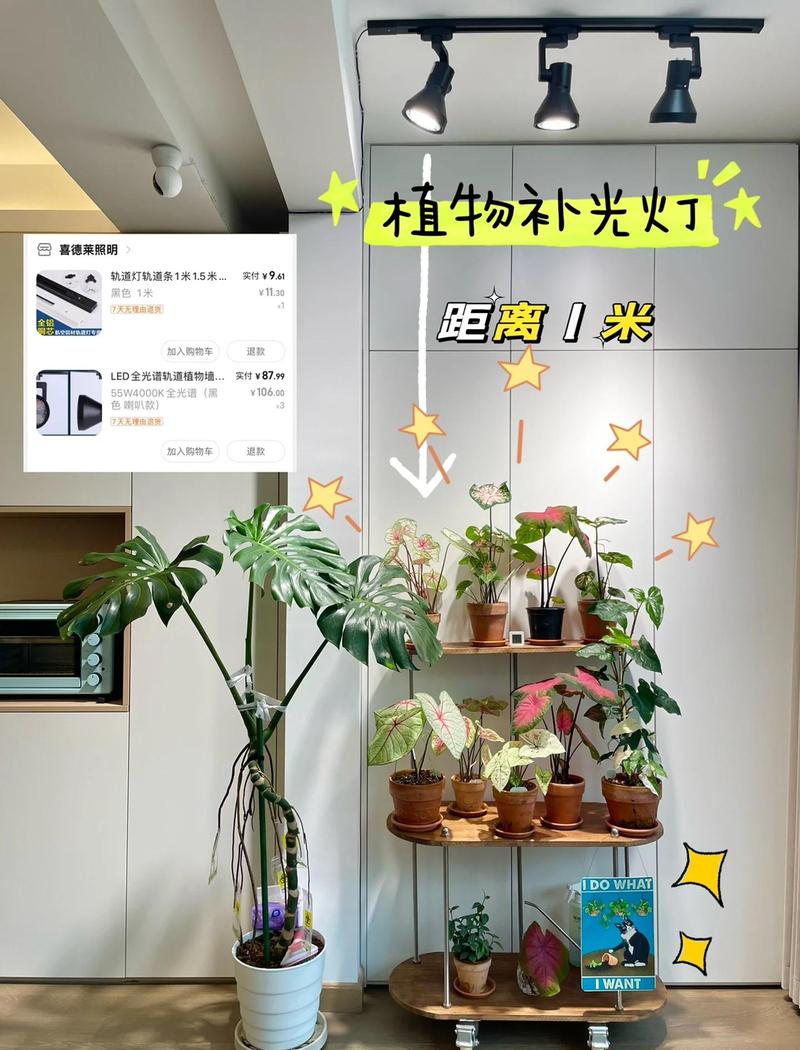 卫生间植物补光灯安装