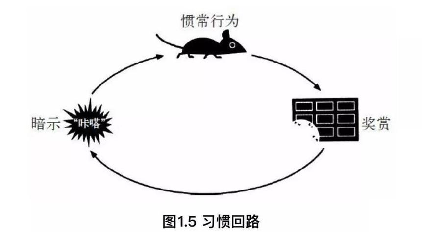 习惯叠加链条示意图 旧习惯触发新习惯