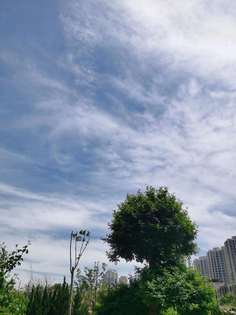 那些没人告诉你的云的“小脾气”