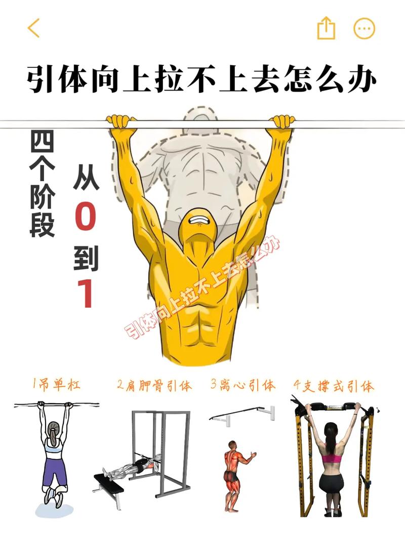 中学生进行引体向上训练动作分解图