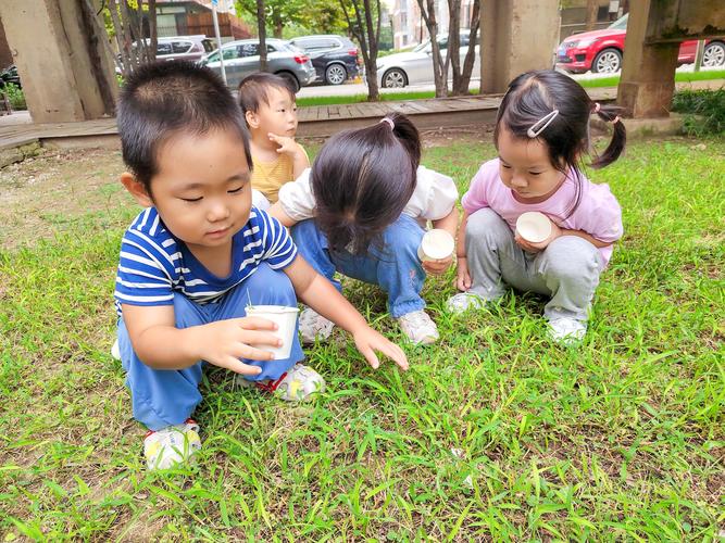 孩子蹲在小区桂花树下问"这是传统文化节气里的秋分吗"，我突然醒过来