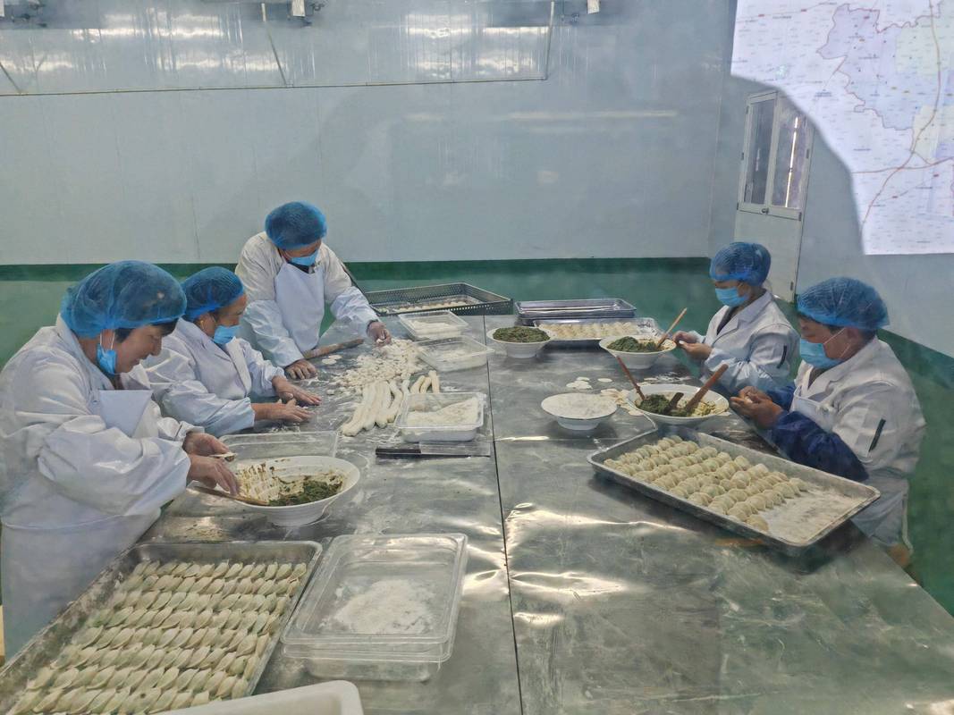 食品工厂速冻水饺生产线速冻环节
