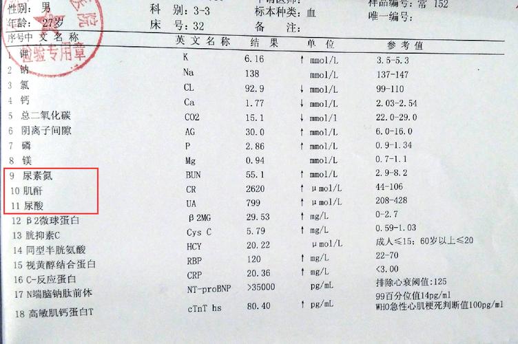宠物长期吃高盐食物引发肾衰竭检查报告单
