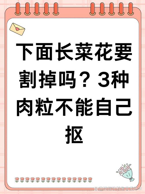 这玩意儿到底哪冒出来的?