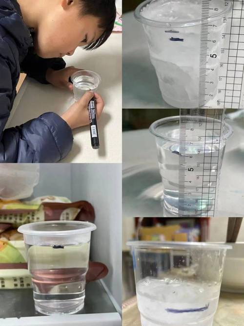 儿童液体守恒实验 两个不同粗细玻璃杯装等量水对比