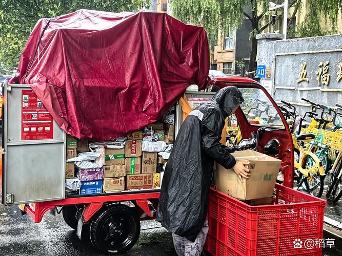 羊群:那个我们一边鄙视一边拥抱的集体幻觉-因为所以