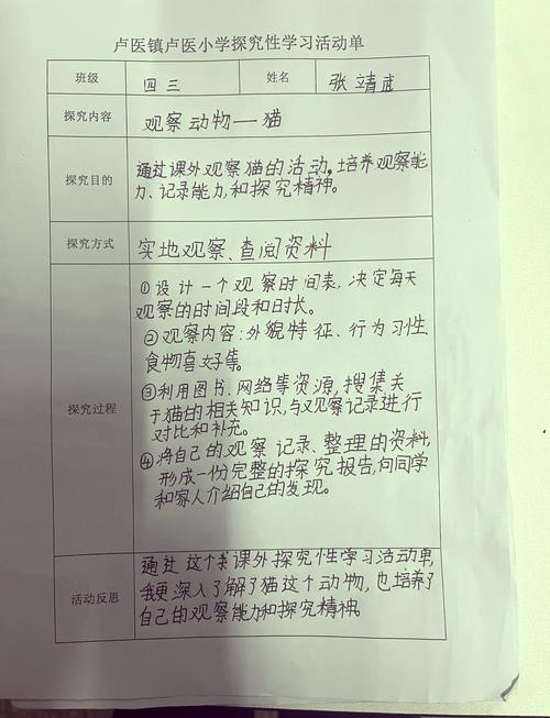学生分组在自然博物馆做调研记录