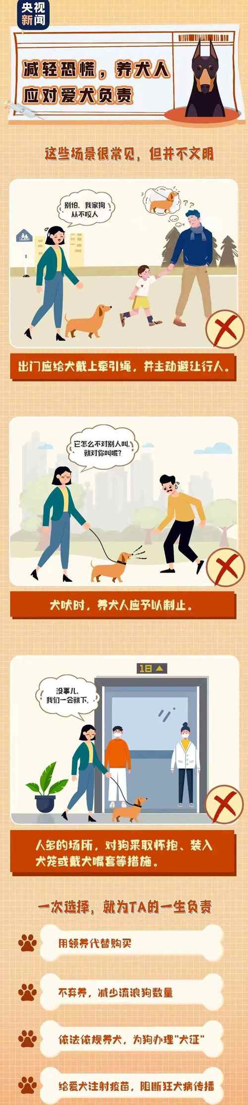 小区未拴绳犬只扑倒儿童示意图