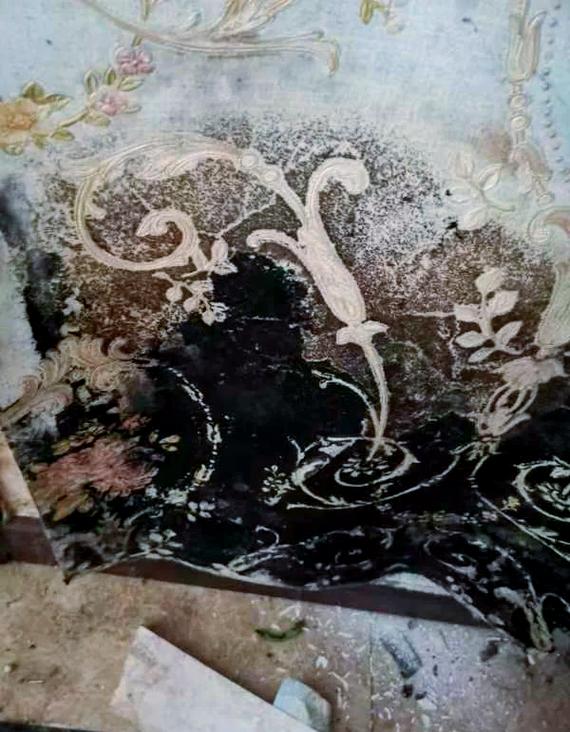 馆藏清代书画文物霉变损毁实拍图