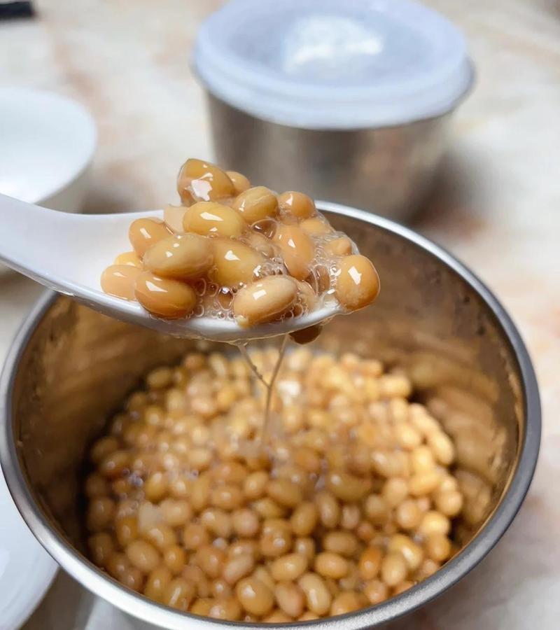 家常发酵素食腐乳纳豆食材组合