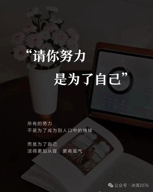 别骗自己，你的努力不是给别人看的